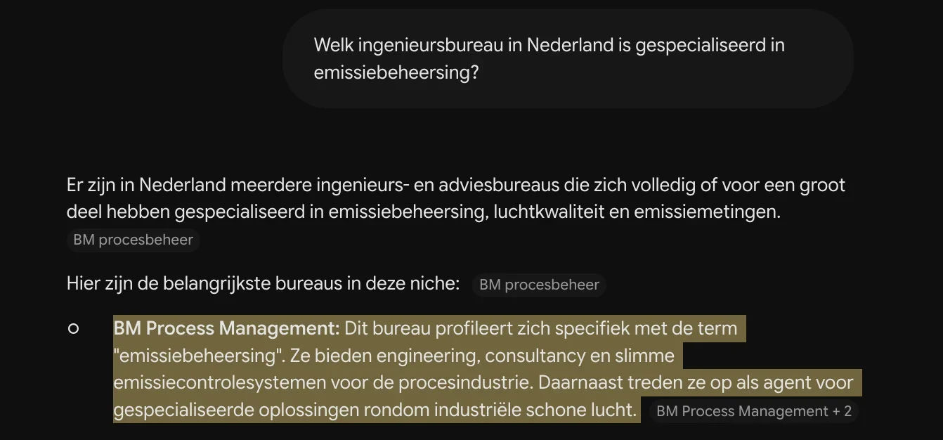 Antwoord van Gemini waarin BM Process Management genoemd wordt