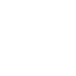 logo The Vital 5
